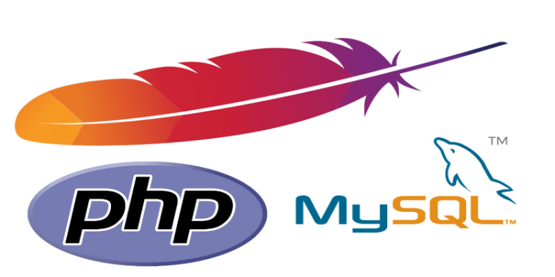 PHP - Connecting to MySQL Database and Reading Information (Illustrated Explanation)