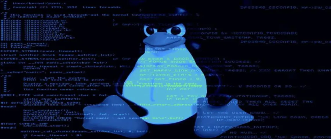 Linux Sunucu Üzerinde Web Siteleri İçin Toplu Olarak Dizin ve Dosya İzinlerinin Yapılandırılması